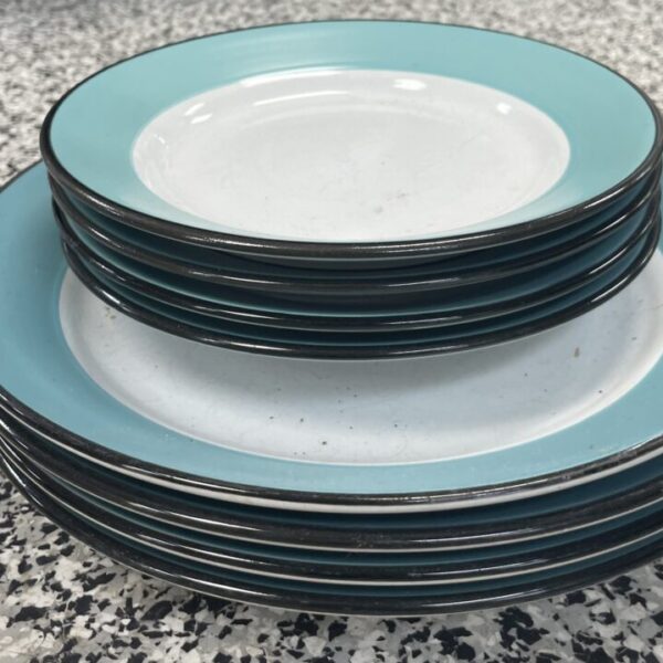 culinary art plate set